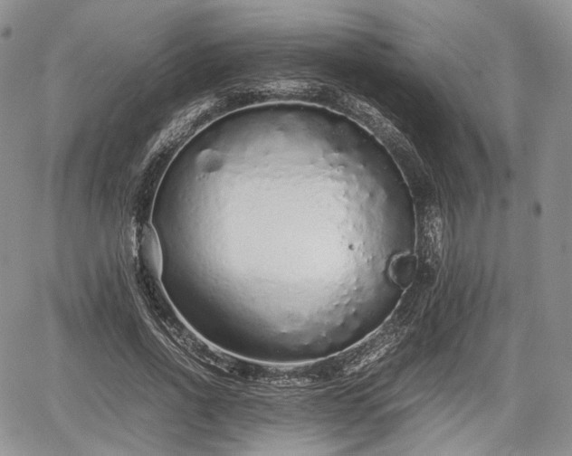 X0000067910734200604171338