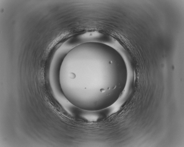 X0000067910735200604171338