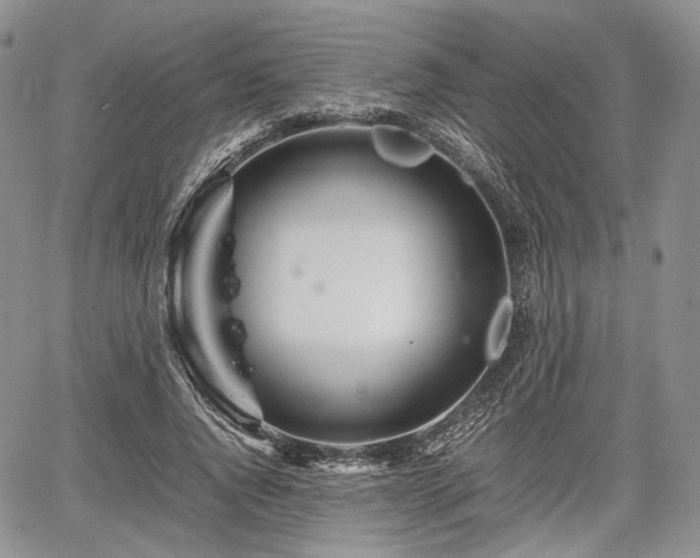 X0000067910736200604171338