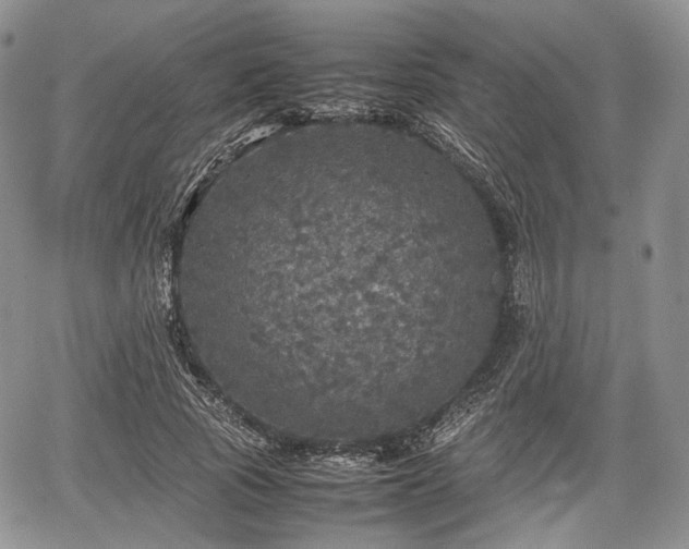 X0000067910737200604171338