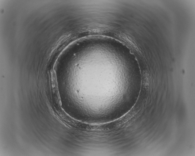 X0000067910738200604171338