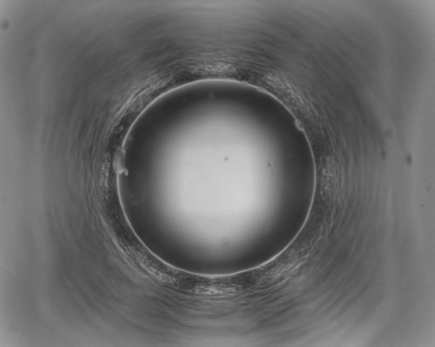 X0000067910739200604171338