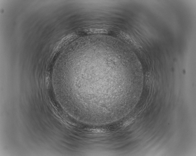 X0000067910741200604171338