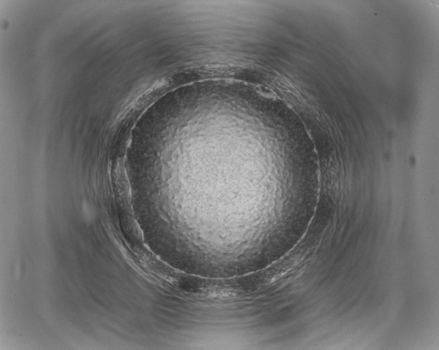 X0000067910742200604171338