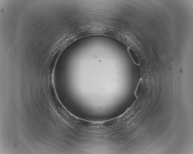 X0000067910744200604171338