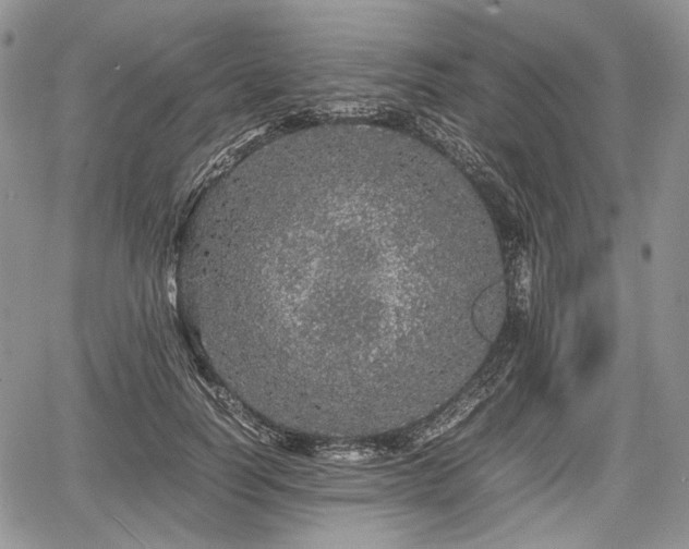 X0000067910746200604171338