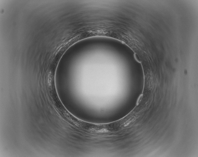 X0000067910747200604171338