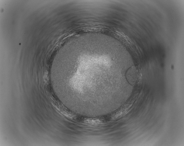 X0000067910749200604171338