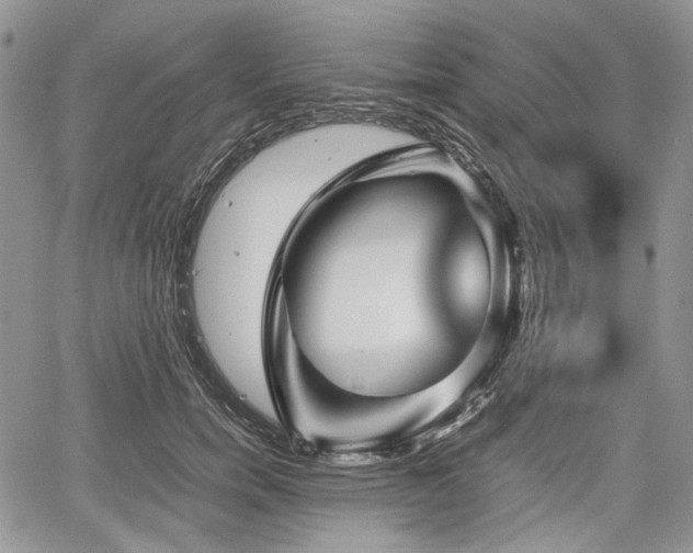 X0000067910750200604171338