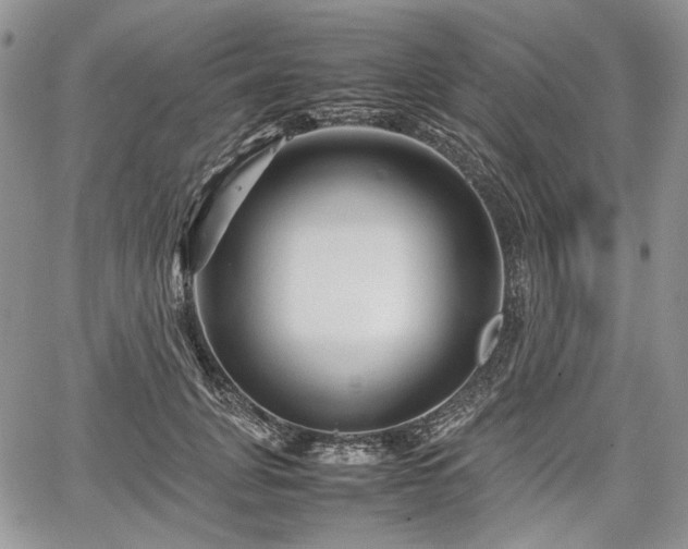 X0000067910751200604171338