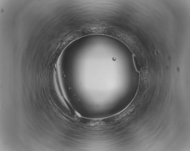 X0000067910752200604171338