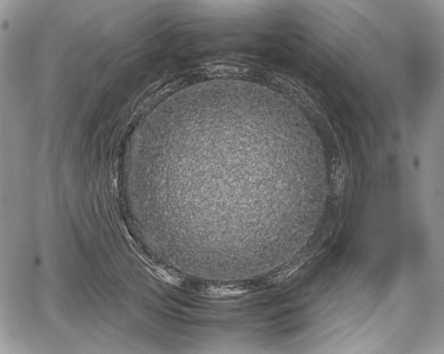 X0000067910753200604171338