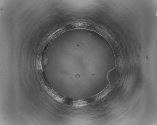 X0000067910754200604171338