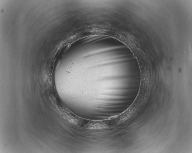 X0000067910755200604171338