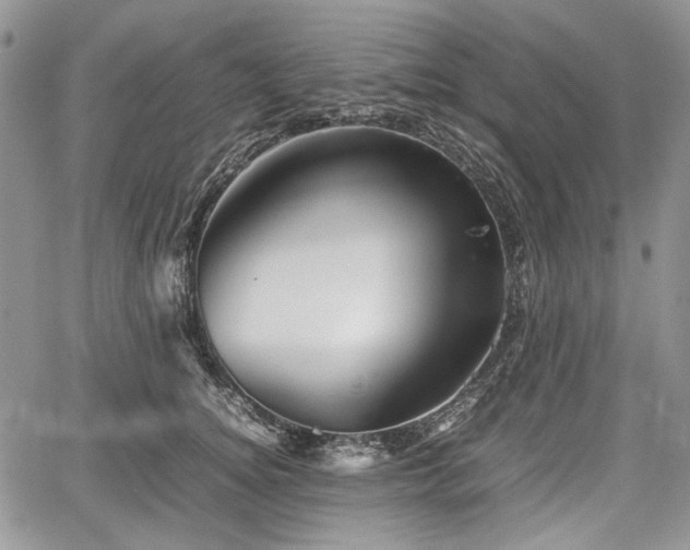 X0000067910756200604171338