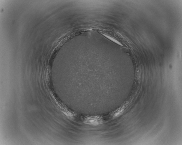 X0000067910757200604171338