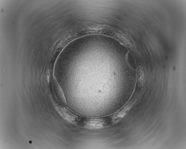 X0000067910758200604171338