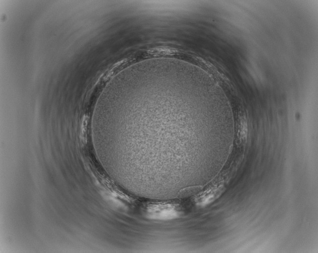 X0000067910759200604171338