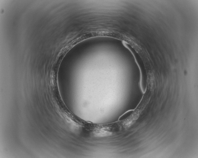 X0000067910760200604171338