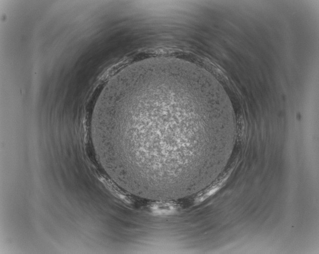 X0000067910762200604171338