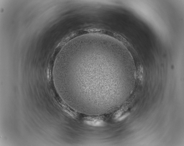 X0000067910763200604171338