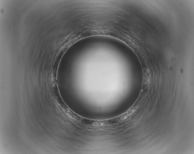 X0000067910764200604171338