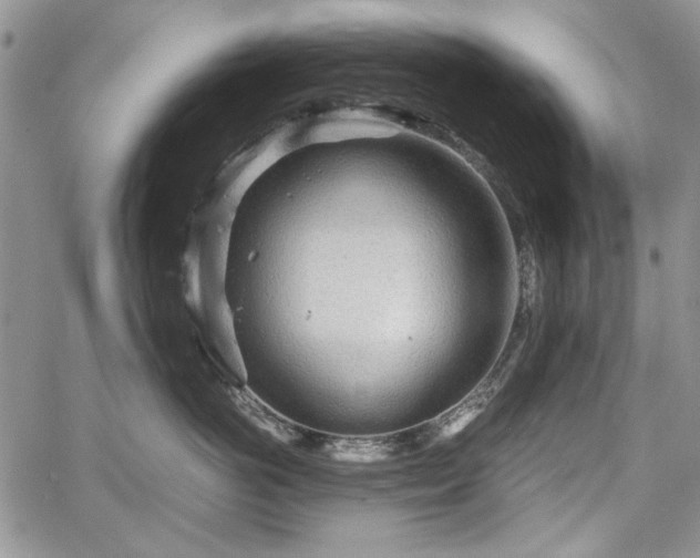 X0000067910766200604171338