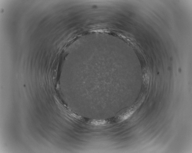 X0000067910767200604171338