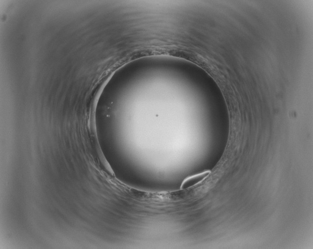 X0000067910768200604171338