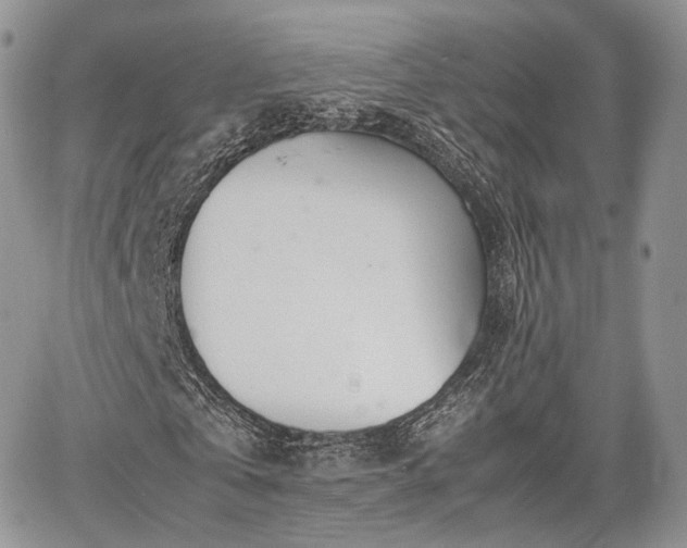 X0000067910769200604171338