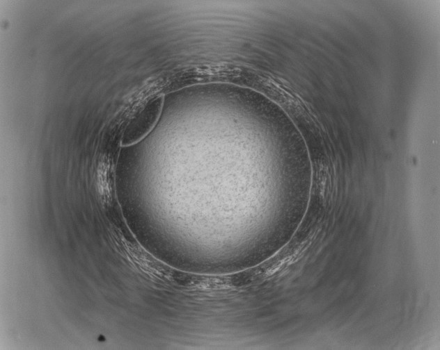 X0000067910770200604171338