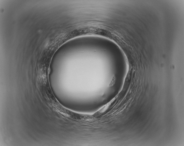 X0000067910771200604171338