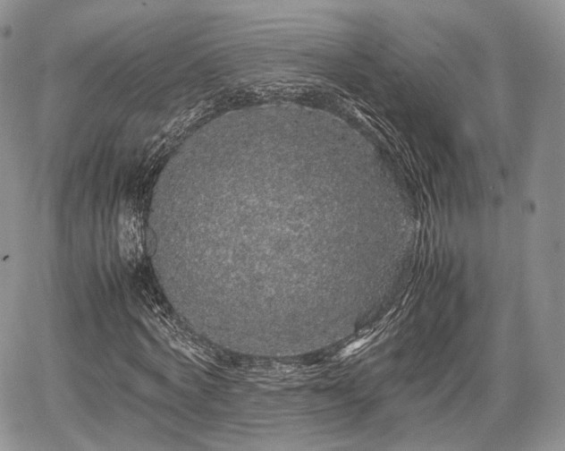 X0000067910772200604171338