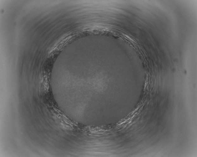 X0000067910774200604171338