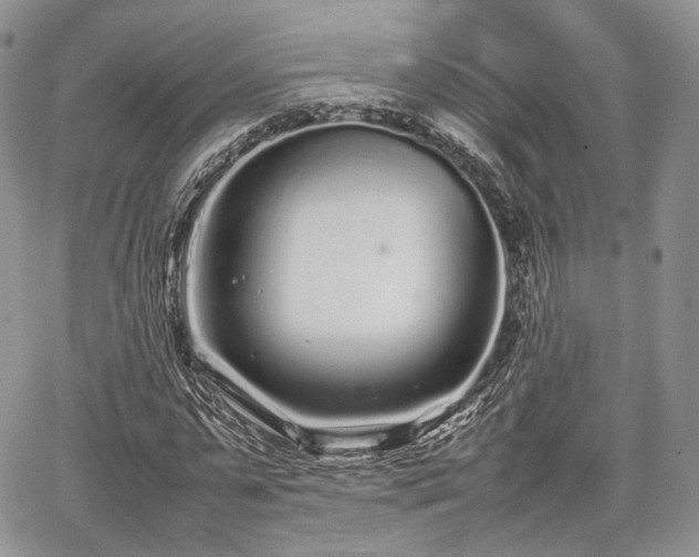 X0000067910775200604171338