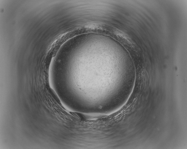 X0000067910776200604171338