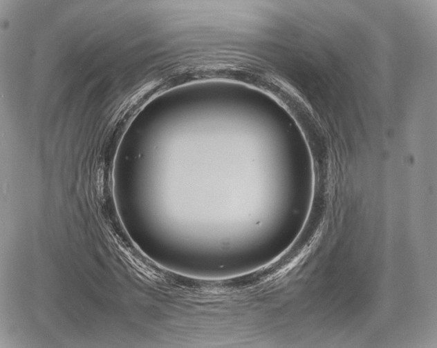 X0000067910777200604171338