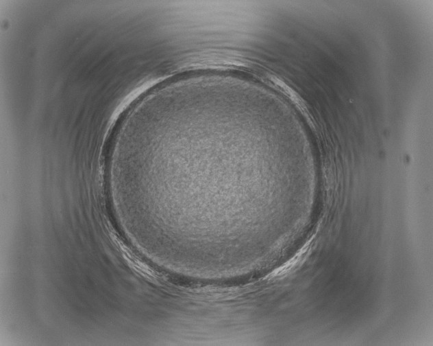 X0000067910779200604171337