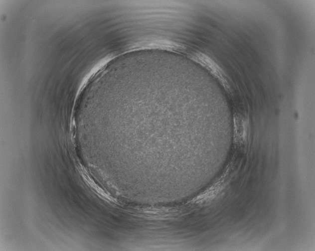 X0000067910780200604171337