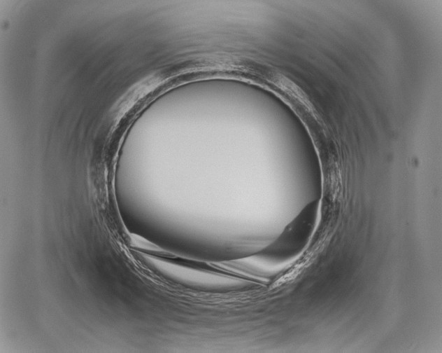 X0000067910781200604171337