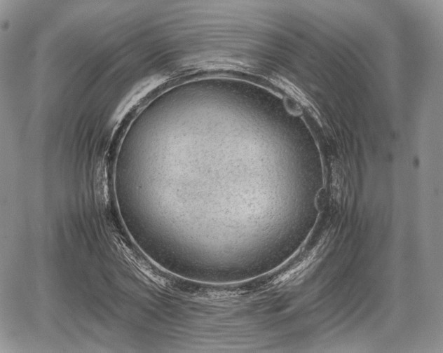 X0000067910782200604171337