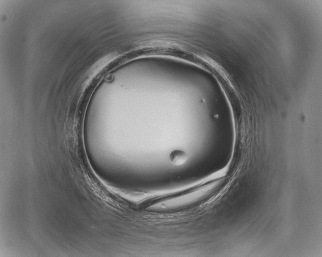 X0000067910783200604171337