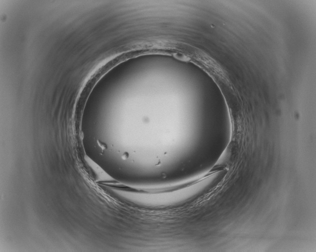 X0000067910784200604171337