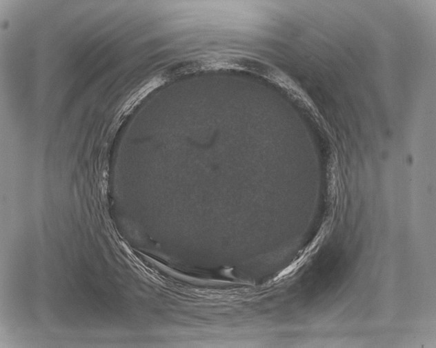 X0000067910785200604171337