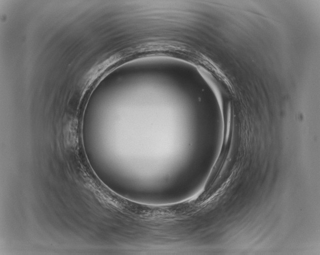 X0000067910786200604171337