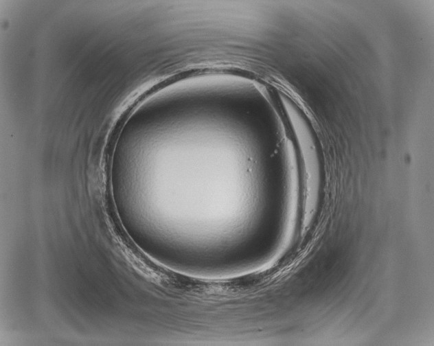 X0000067910787200604171337