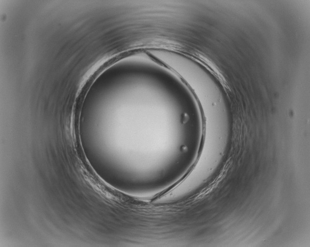 X0000067910788200604171337