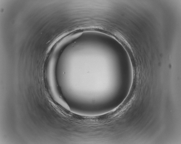 X0000067910789200604171337