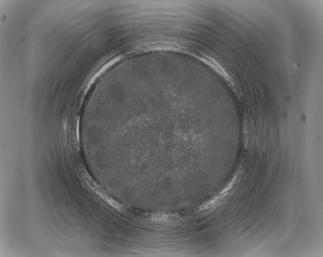 X0000067910790200604171337