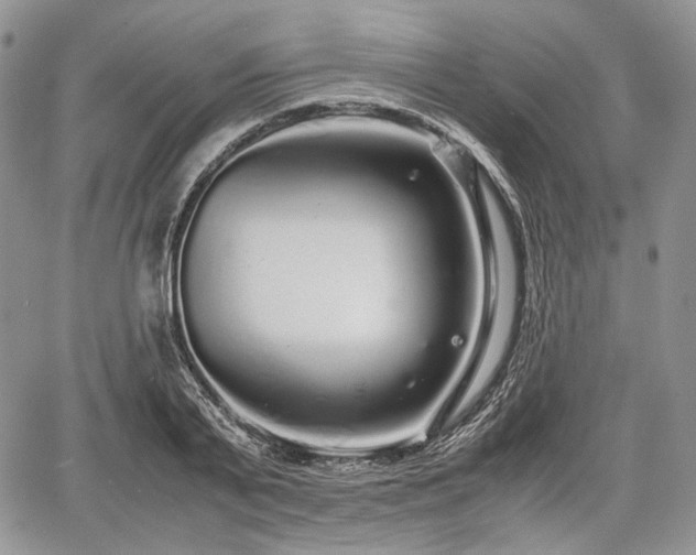 X0000067910791200604171337